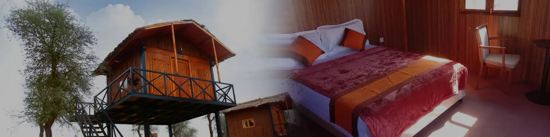 Overnight Camping in Elevated Tree House in Ras Al Khaimah
