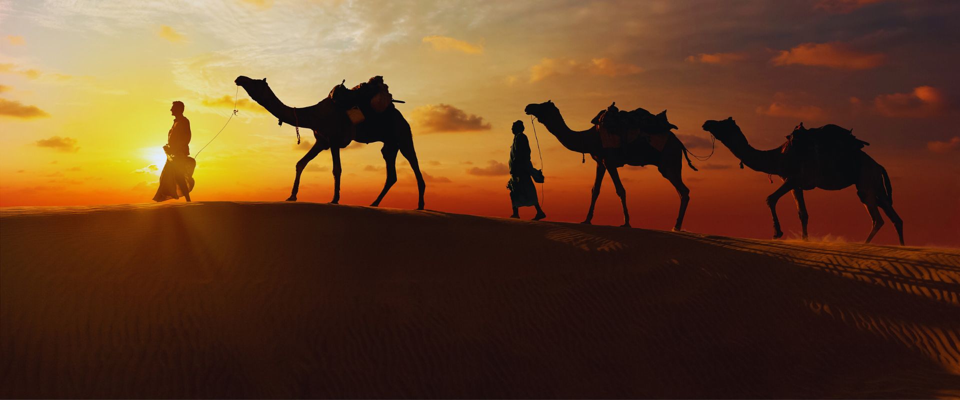 Evening Desert Safari In RAK Dunes