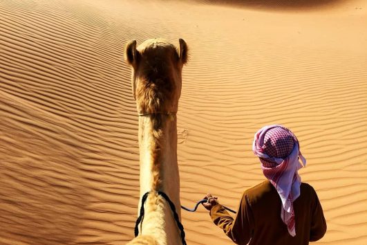 POV camel ride led by a guide across the Dubai desert dunes