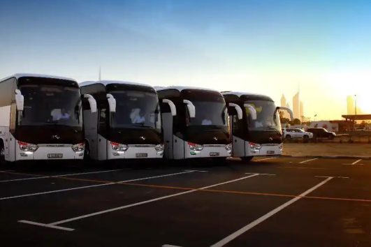 Multiple luxury buses parked for corporate transport