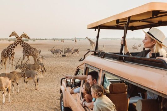 Create lifelong memories with a family-friendly safari tour led by expert guides.