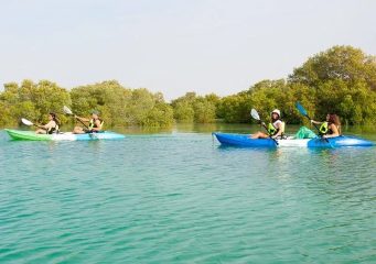 Two people kayaking through calm mangrove waters