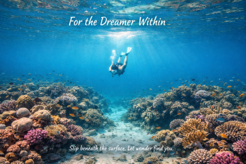 Snorkeler exploring coral reef in clear blue waters near Moon Island Dubai
