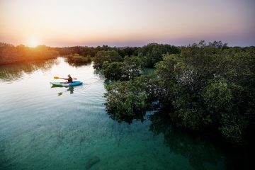 Person kayaking through mangrove waterways at sunset in Jubail Island Mangrove Park Abu Dhabi