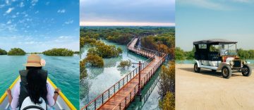 Kayaker exploring mangroves at Jubail Island Mangrove Park Abu Dhabi