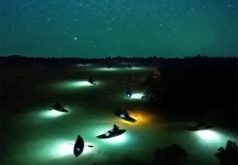 Kayakers with glowing lights paddling through mangroves at night
