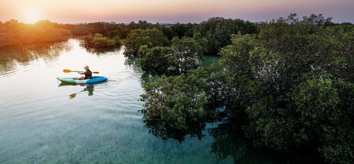 Person kayaking through mangrove forest at sunset with calm water reflections