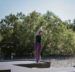 A woman in purple leggings and a black top practicing yoga on a wooden deck surrounded by green trees.