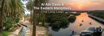 Al Ain Oasis palm trees falaj irrigation system and Eastern Mangroves kayaking at sunset Abu Dhabi