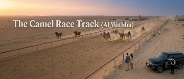 camel racing in Al Wathba desert Abu Dhabi with spectators and luxury chauffeur SUV