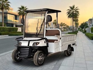 electric utility golf cart with rear cargo bed parked on residential street