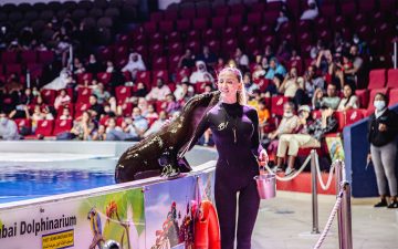 sea lion performing with trainer in front of audience at Dubai Dolphinarium show