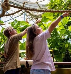 children exploring plants and greenery inside indoor rainforest Dubai