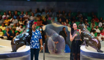 visitors interacting with trained sea lions during live show at Dubai Dolphinarium