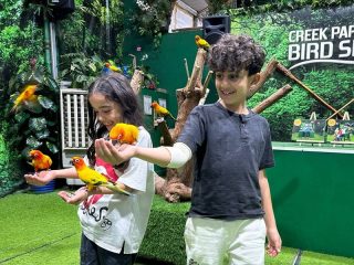 Children holding colorful birds during interactive bird experience Dubai