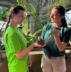 visitor holding snake with zookeeper guidance indoor rainforest Dubai