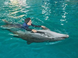 Woman swimming with dolphin at Dubai Dolphinarium experience