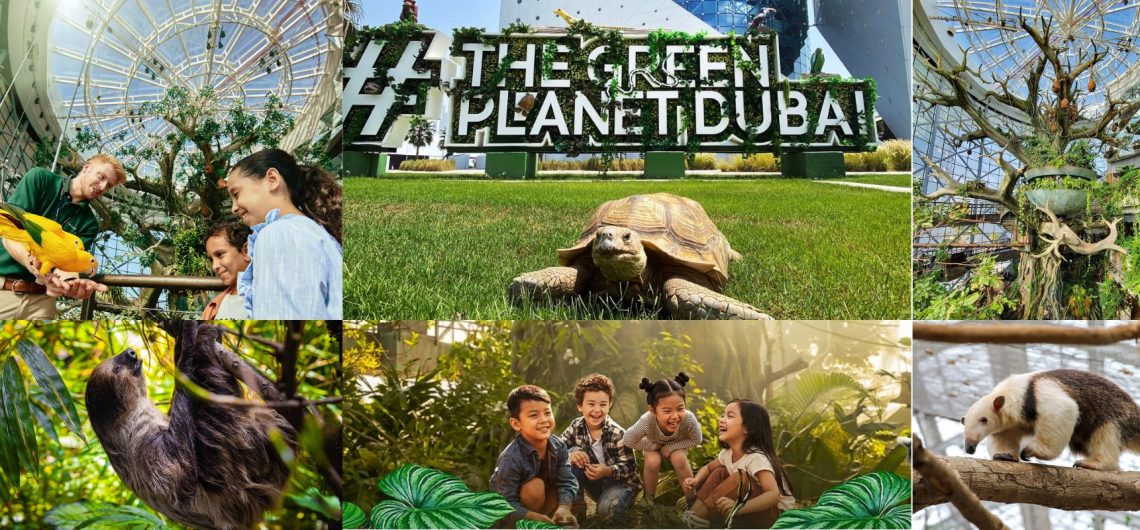 visitors exploring indoor rainforest with exotic animals at The Green Planet Dubai