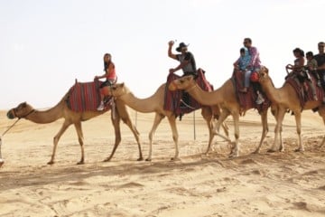 Vootours - Camel Treking (Bach)