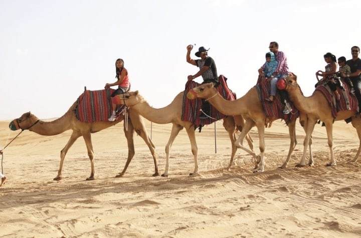 Vootours - Camel Treking (väike)