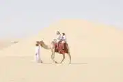 Safari Anialwch Bore Abu Dhabi