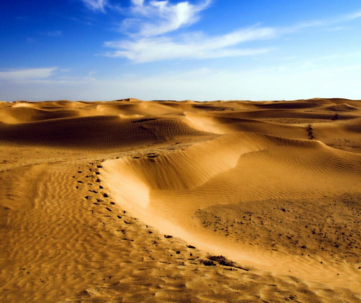Sunrise Desert Safari in Abu Dhabi