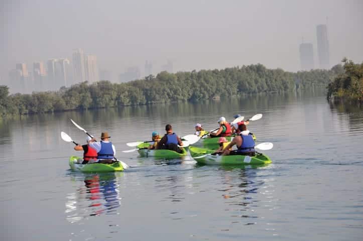 Vootours Mangrove Kayaking (väike)