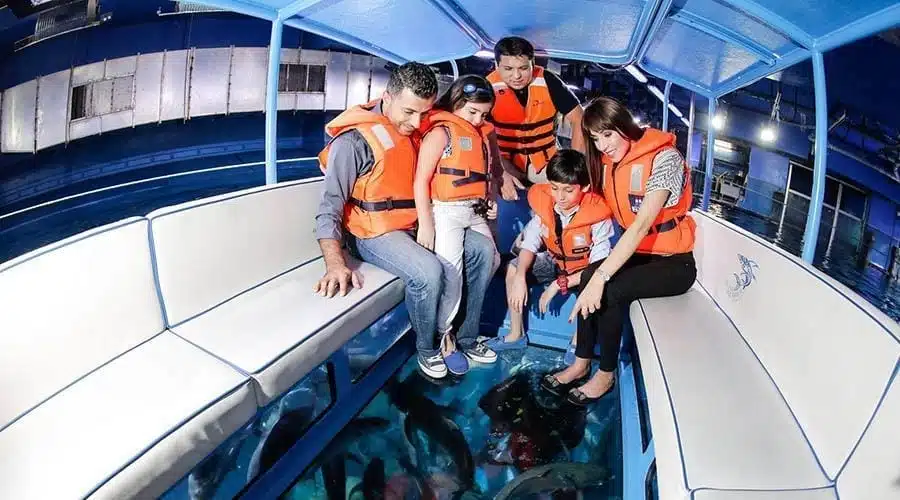 Aquarium am Dubai-Mall