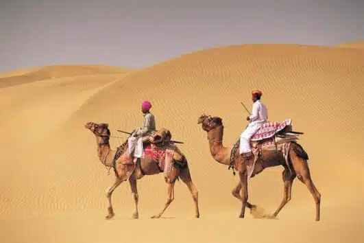 Dubai Camel Riding