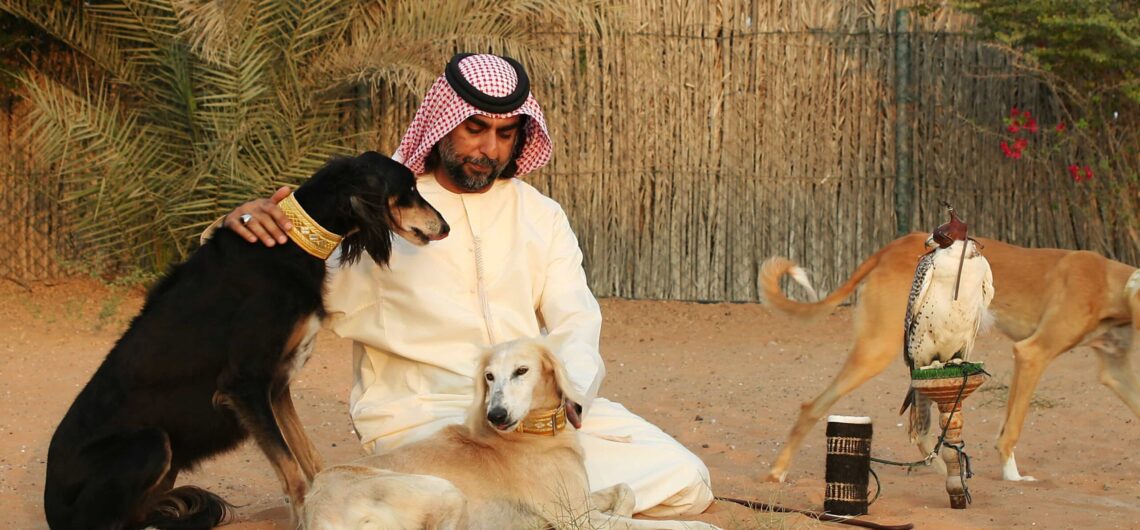 Arabian Saluki Center Abu Dhabi