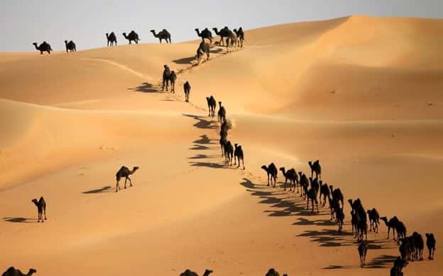 Абу-Дабиден бастап Liwa Desert Safari VooTours туризмі
