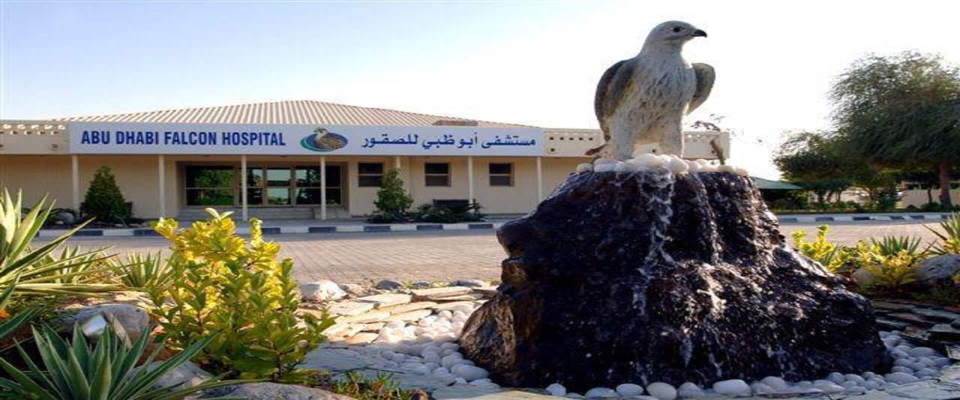 Abu Dhabi Falcon Hospital Tour