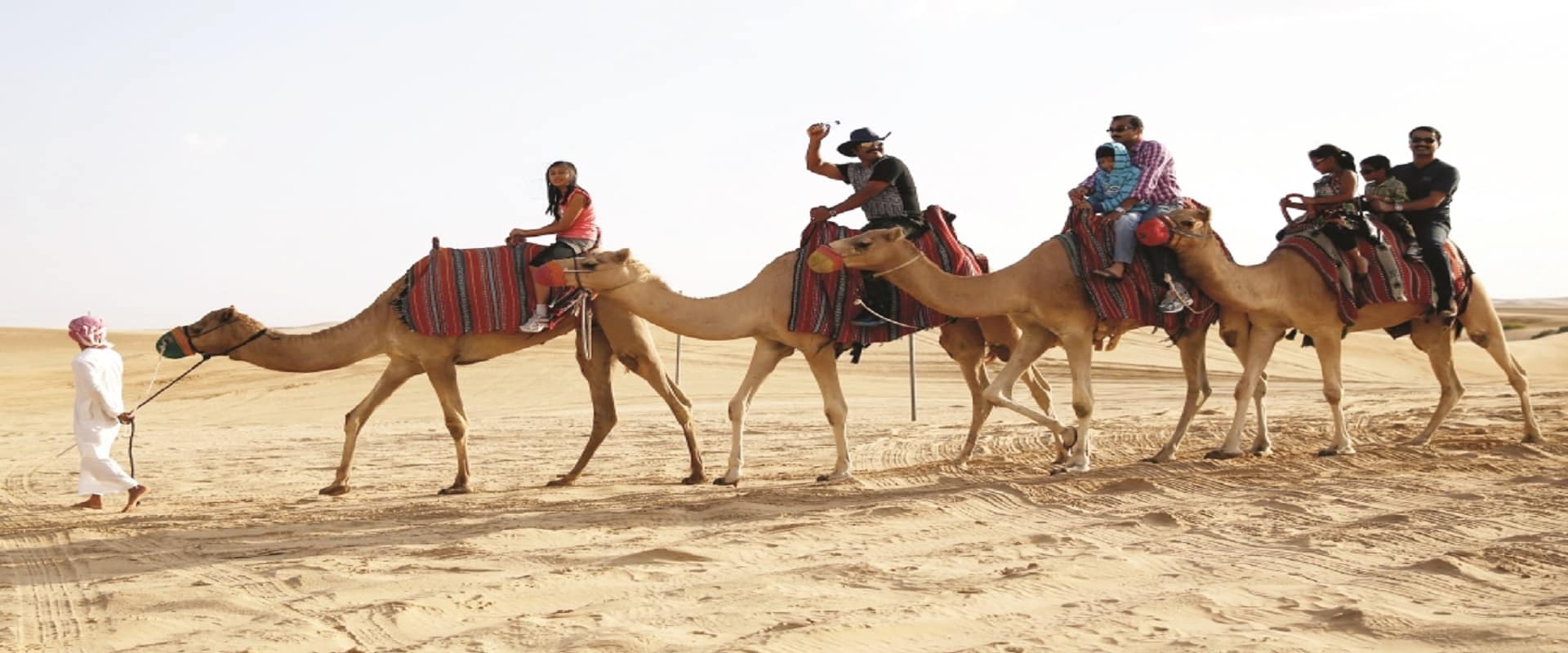 Cerdded Camel yn Abu Dhabi