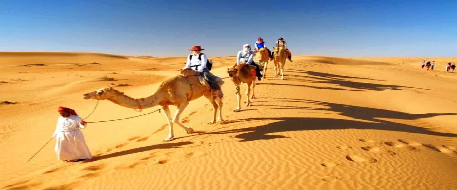 Dubai Camel Riding