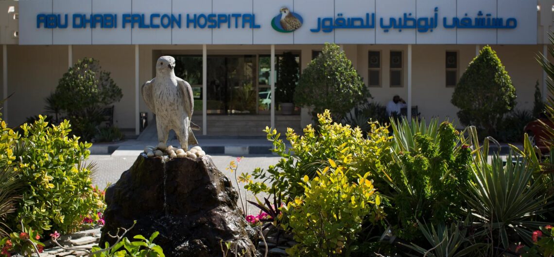 Abu Dhabi Falcon Hospital Tour