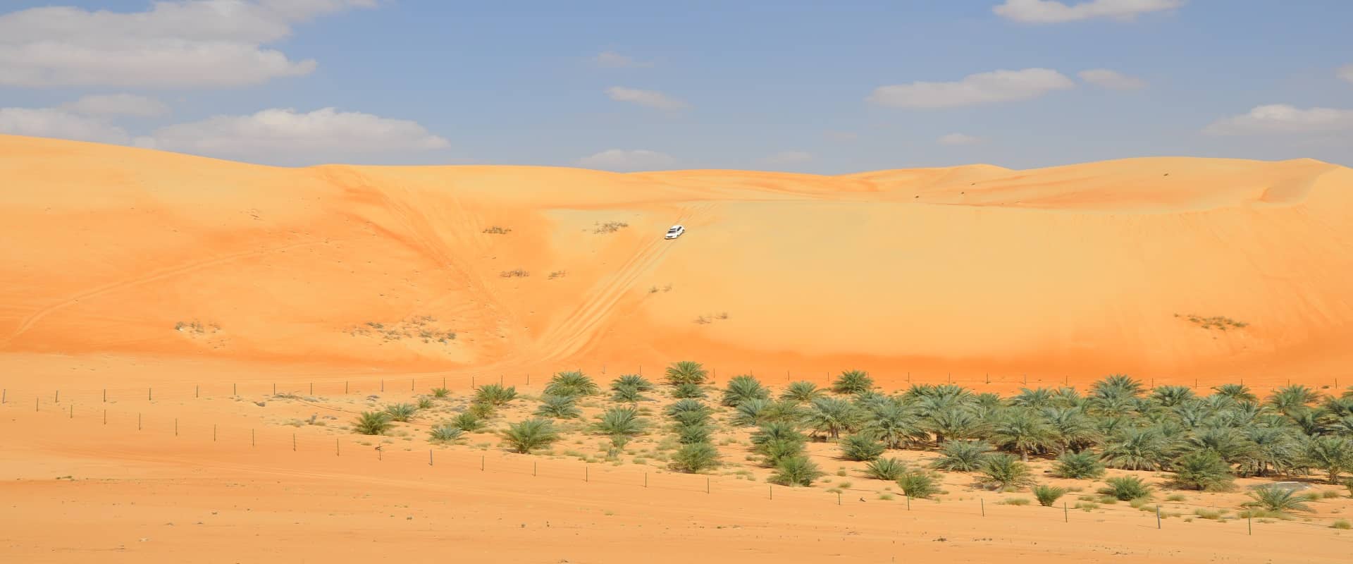 Liwa Desert Safari ከ Abu Dhabi
