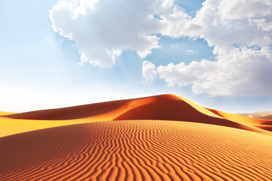 Liwa Desert Safari From Abu Dhabi