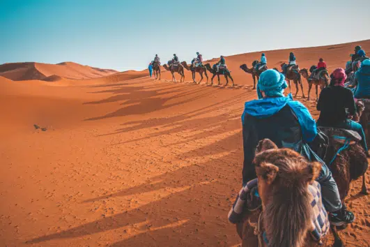 Camel Trekking in Abu Dhabi