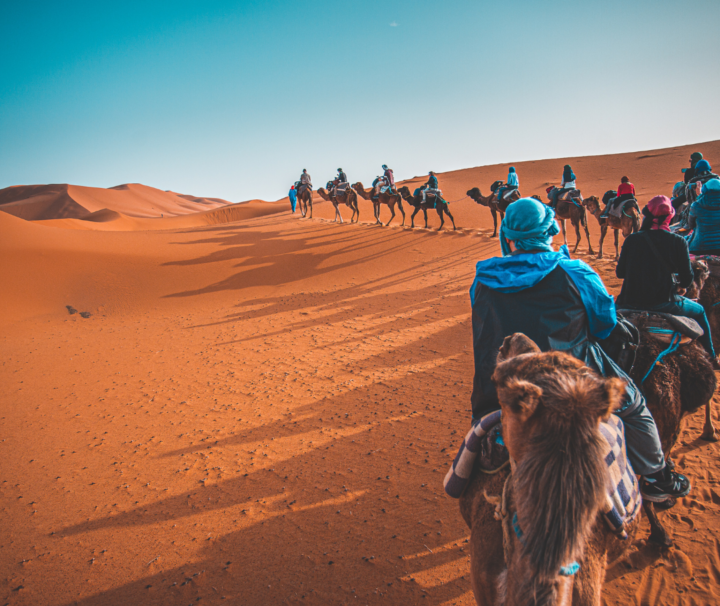 Camel Trekking yn Abu Dhabi