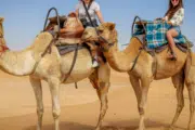 Camel Trekking in Abu Dhabi