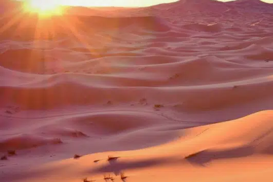 Sunrise Desert Safari from Abu Dhabi