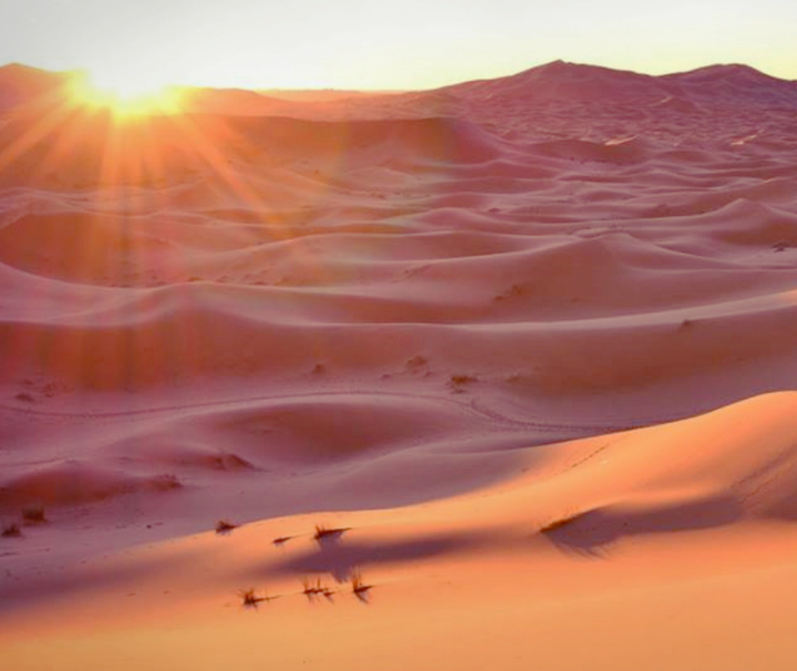 Safari Anialwch Sunrise o Abu Dhabi
