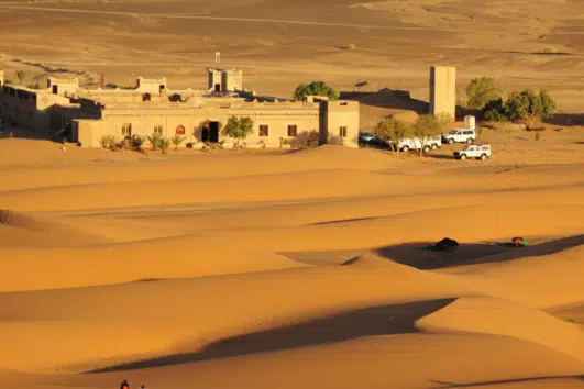 Abu Dhabi Desert Safari