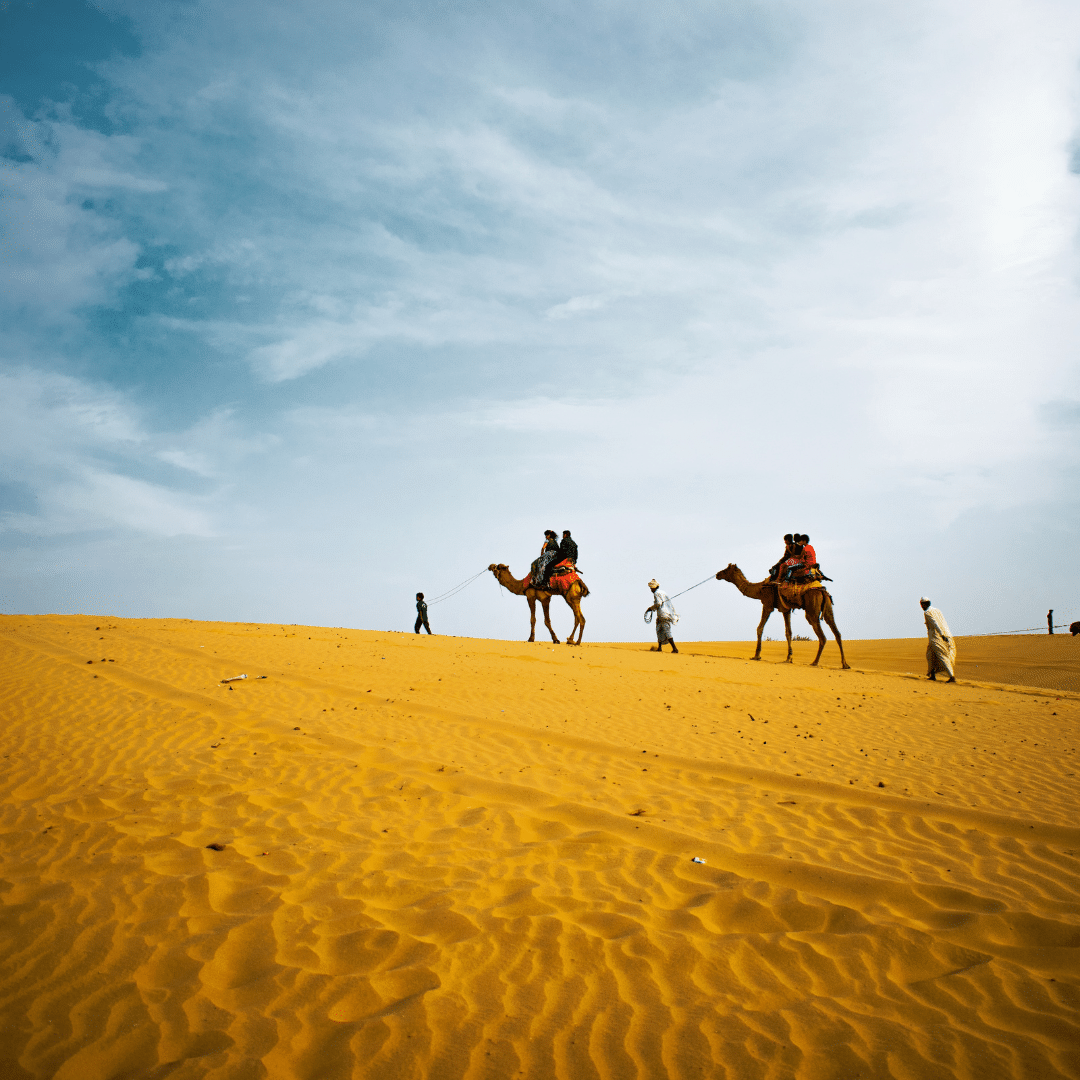 Safari Anialwch Abu Dhabi