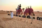 Camel Trekking in Ras Al Khaimah Dunes