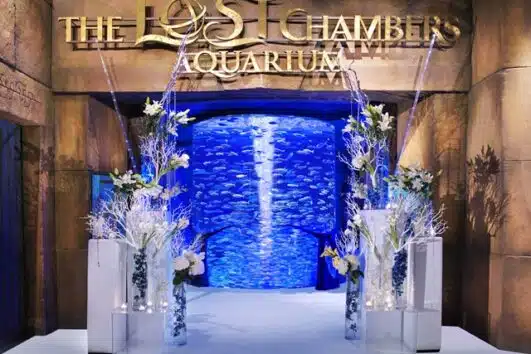 The Lost Chambers Aquarium