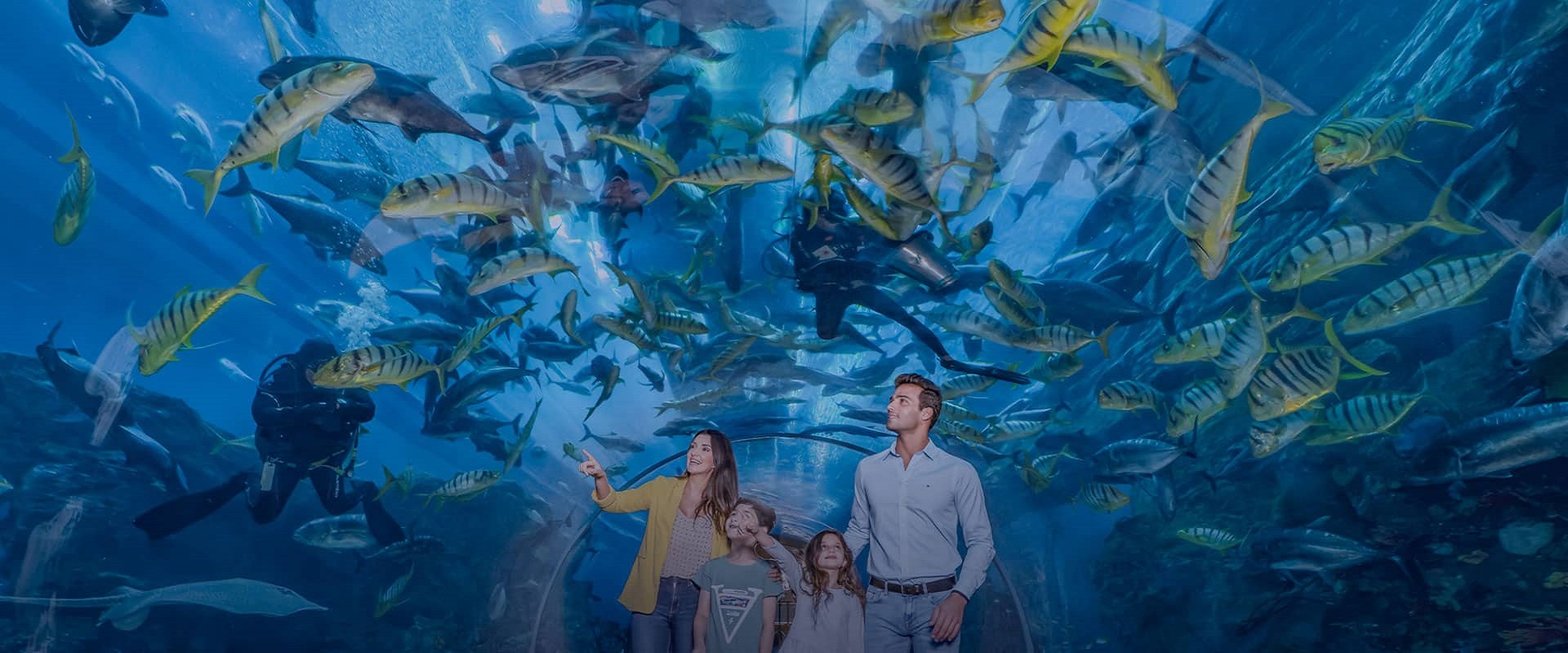 Aquarium et zoo sous-marin du centre commercial de Dubaï