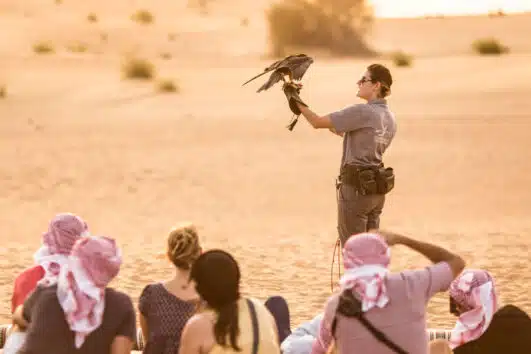 Dubai Falconry Safari Experience