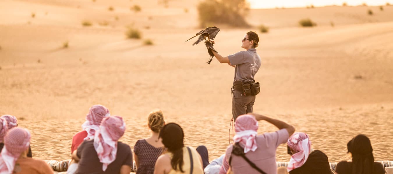 Dubai Falconry Safari Përvoja