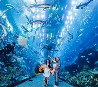 View of the Dubai Aquarium & Underwater Zoo with various marine life swimming in the tank